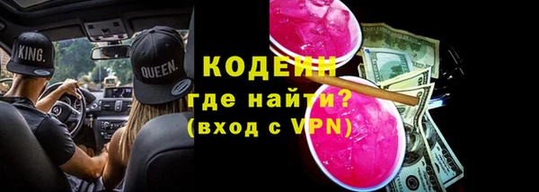 Альфа ПВП Лагань