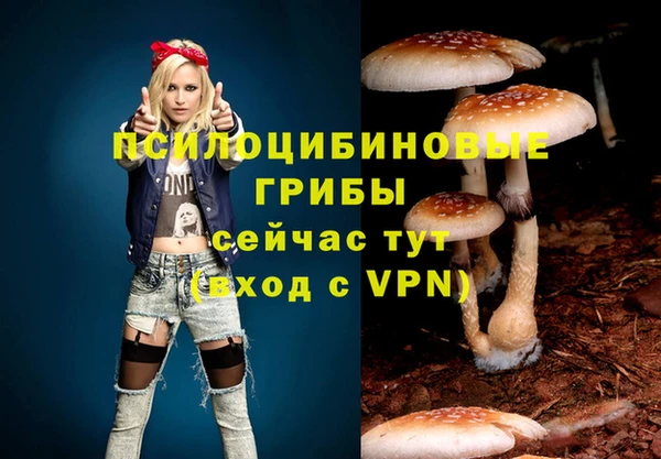 apvp Ессентукская
