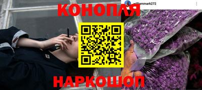 твердый Камышлов