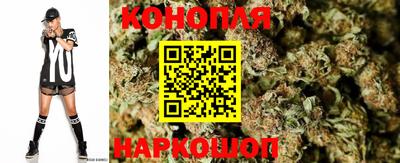 сатива Коммунар