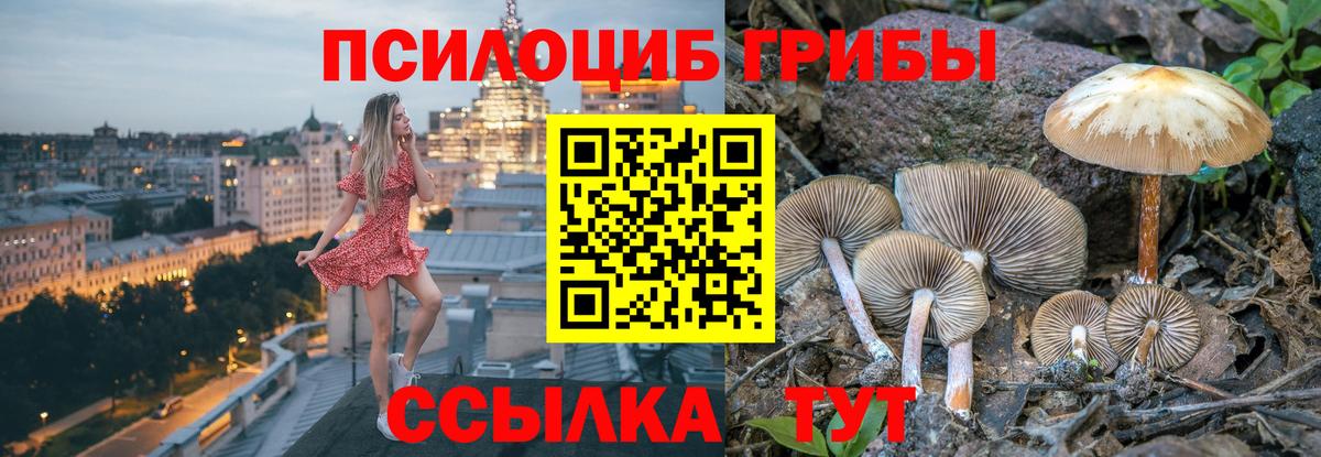Псилоцибиновые грибы мицелий  Псилоцибиновые грибы мухоморы  Юрга  Вход с VPN 