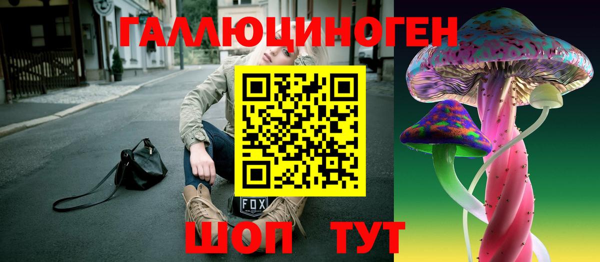 Галлюциногенные грибы Psilocybe Юрга